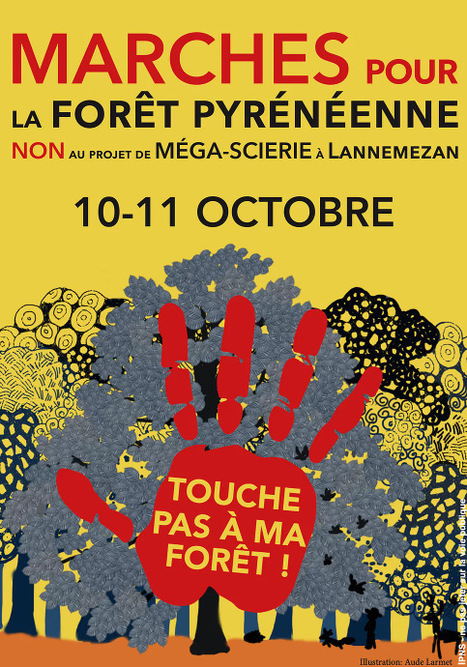 Marches pour la forêt pyrénéenne les 10 et 11 octobre | Vallées d'Aure & Louron - Pyrénées | Scoop.it