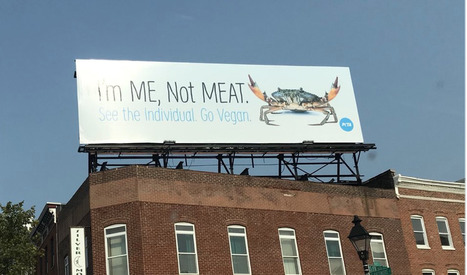PETA put up a billboard urging Baltimore to stop eating crab. It didn't go over well | Coastal Restoration | Scoop.it