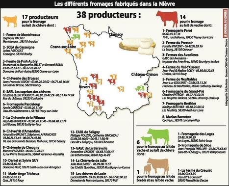 Terroir : Avec 38 producteurs, la Nièvre est une terre de fromages ! | Lait de Normandie... et d'ailleurs | Scoop.it