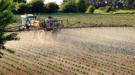 Des pesticides dangereux demeurent dans nos sols malgré les interdictions | Toxique, soyons vigilant ! | Scoop.it