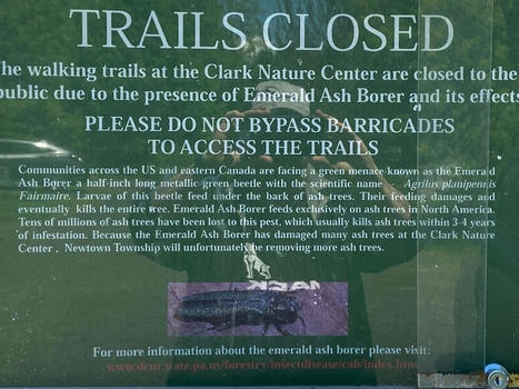 Can We Open the Clark Nature Center Trails? Yes, And It May Cost Much Less Than Some Have Estimated | Newtown News of Interest | Scoop.it
