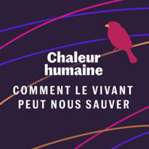 L'abeille fauve - Comment le vivant peut nous sauver (1/6) - Podcast | EntomoScience | Scoop.it