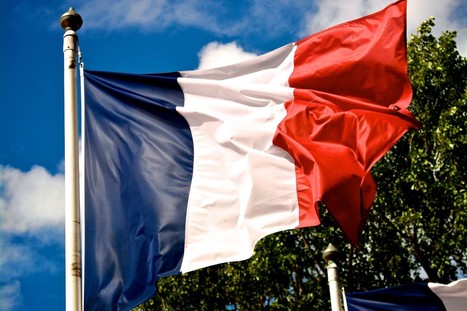 L'Onu appelle la France à arrêter de jouer la "carte de la peur" | 16s3d: Bestioles, opinions & pétitions | Scoop.it