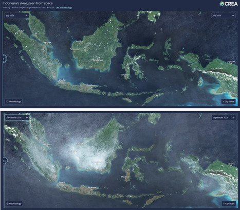 INDONESIA: Air pollution deaths surged by 42% in September&nbsp; | ASIES | Scoop.it