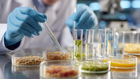 35 ans de r&eacute;volution silencieuse en R&D | AGROALIMENTAIRE | Scoop.it