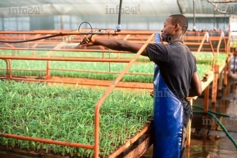 En Inde, la BAD va honorer les jeunes agri-preneurs africains  | ASIES | Scoop.it