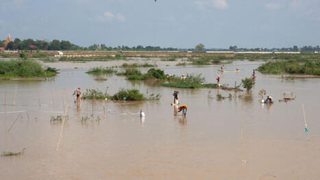 CAMBODIA: Farmers fear displacement, drought, flooding tied to Funan Techo Canal | ASIES | Scoop.it