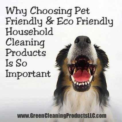 Why Choosing Pet Friendly and Eco Friendly Household Cleaning Products is so Important | A Clean, Green Home | Scoop.it