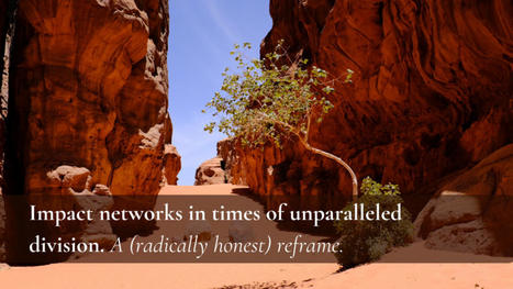 Impact networks in times of unparalleled division. A (radically honest) reframe. | networks and network weaving | Scoop.it