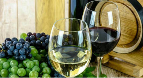 Resistance des levures au cuivre impacte le vin  | IPCI : Ingénierie de Produits à l'interface Cuisine-Industrie | Scoop.it