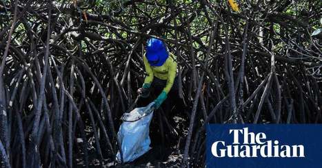 Oil spill threatens vast areas of mangroves and coral reefs in Brazil | Environment | The Guardian / le 07.11.2019 | Pollution accidentelle des eaux (+ d&eacute;chets plastiques) | Scoop.it