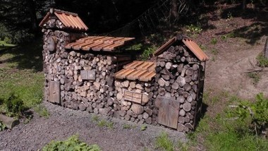 Alimentation animale : la farine d&rsquo;insecte, une nouvelle mati&egrave;re premi&egrave;re | Pour innover en agriculture | Scoop.it