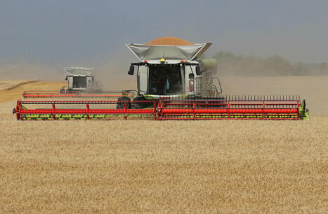 China’s grain imports have slumped big-time | MED-Amin network | Scoop.it