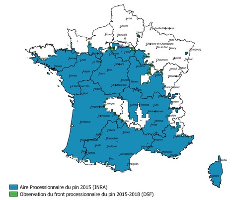 Le front d’expansion de la chenille processionnaire du pin progresse toujours | EntomoNews | Scoop.it