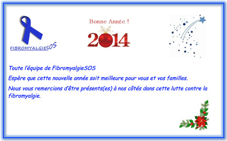 BONNE ANNEE 2014 | Association FibromyalgieSOS | Scoop.it