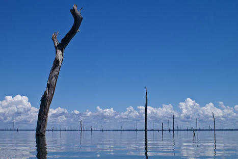 Suriname : incertitude et inquiètudes après une fuite de cyanure dans le réservoir de Brokopondo / le 30.05.2023 | Pollution accidentelle des eaux par produits chimiques | Scoop.it