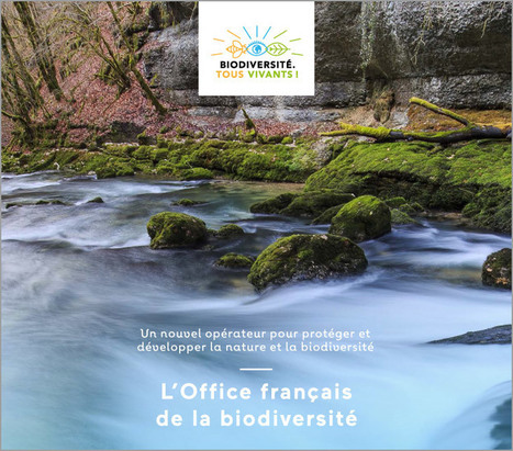 La création de l’Office français de la biodiversité : protéger et restaurer la biodiversité | Biodiversité | Scoop.it