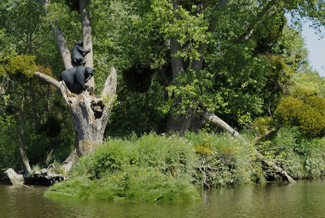 Coups de coeur du parcours Estuaire sur la Loire | Les blogs parlent du Voyage &agrave; Nantes | Scoop.it