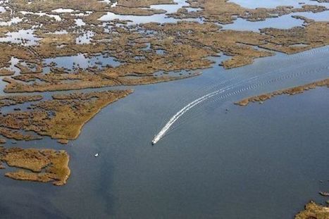 Louisiana oil and gas industry is already investing: A letter to the editor | Coastal Restoration | Scoop.it