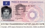 Le permis de conduire électronique retardé au 16 septembre | Libertés Numériques | Scoop.it