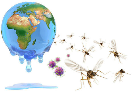 Más de la mitad de las enfermedades infecciosas conocidas pueden verse agravadas por el cambio climático | Enfermedades y Salud | Scoop.it