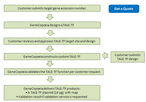 Gene-TALER™ Custom TALEN and TALE-TF Services New ... | TAL effector science | Scoop.it