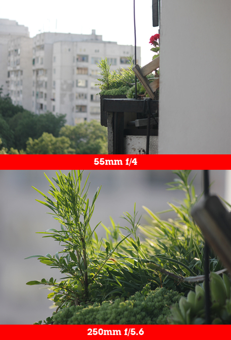 Understanding the Factors that Affect Depth of Field | Le photographe numérique | Scoop.it