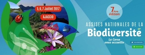 Corse: la CTC co-organisatrice des Assises de la Biodiversité - Régions de France | architecture, urbanisme, environnement, paysage, énergie, territoires... : le fil d'actu de la FNCAUE | Scoop.it