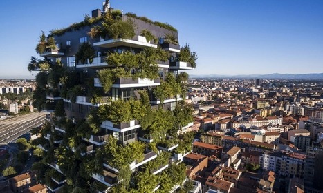 Milan va planter 3 millions d&rsquo;arbres pour refroidir son centre-ville | Veille UrbaLyon : Cities in Europe ... : Best practises, Be Inspire ! | Scoop.it