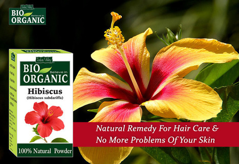 Hibiscus Benefits In Ayurvedic Hair Care Products Scoop It