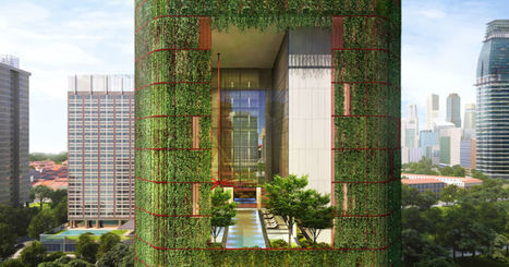 &Agrave; Singapour, un h&ocirc;tel se construit son propre &eacute;cosyst&egrave;me tropical | Smart City : la donn&eacute;e, v&eacute;ritable ADN de nos villes de demain ? | Scoop.it