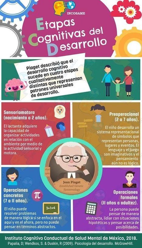 Etapas del Desarrollo Cognitivo según Jean Piaget | Infografía | Bibliotecas, bibliotecarios y otros bichos | Scoop.it