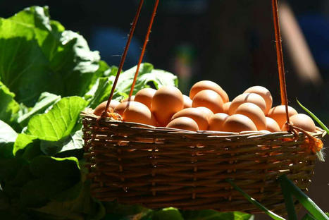Les expressions françaises avec le mot « oeuf » et les différentes manières de manger les oeufs – FLE – | FLEursdeFLE | Scoop.it