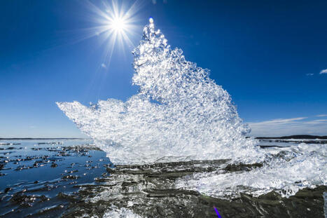 Luonto nyt: Kev&auml;t alkoi enn&auml;tyksellisen l&auml;mpim&auml;n&auml; | 1Uutiset - Lukemisen t&auml;hden | Scoop.it