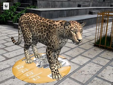 En Arm&eacute;nie, la r&eacute;alit&eacute; augment&eacute;e vient au secours des l&eacute;opards iraniens | Biodiversit&eacute; | Scoop.it