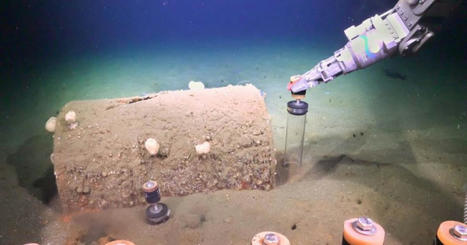 New Expedition Provides More Information On Massive Ocean Toxic Waste Dumping Discovered By South Coast Researcher - KCLU.org | Operation Deimos | Scoop.it