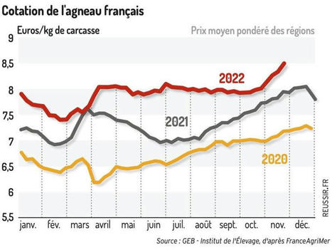 La cotation s&rsquo;envole malgr&eacute; une d&eacute;consommation de l&rsquo;agneau | Actualit&eacute; B&eacute;tail | Scoop.it