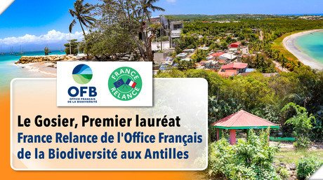 Atlas de la Biodiversité Communale - Le Gosier, premier lauréat France Relance de l’OFB aux Antilles | Biodiversité | Scoop.it