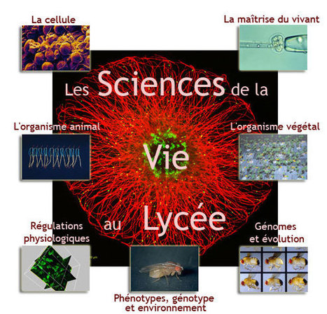 CNRS Images - Les Sciences de la Vie au Lycée | Insect Archive | Scoop.it