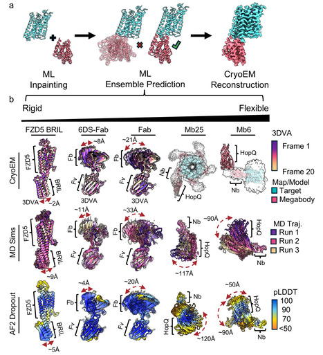 Designing rigid protein fiducials to visualize GPCR conformational states | Ncm | RMH | Scoop.it