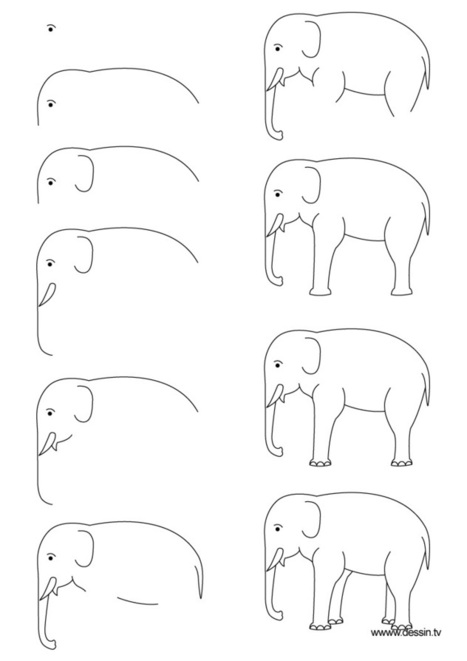 Drawing elephant | Drawing References and Resources | Scoop.it