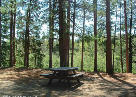 CNNF-DNR Partner To Manage Timber In National Forest | Timberland Investment | Scoop.it