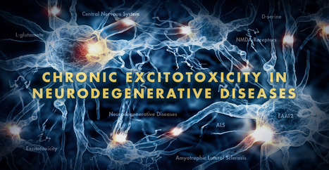 Chronic Excitotoxicity in Neurodegenerative Diseases Part 2 | El Paso, TX Chiropractor | Call: 915-850-0900 | Neuropathy "The Painful Enigma" | Scoop.it