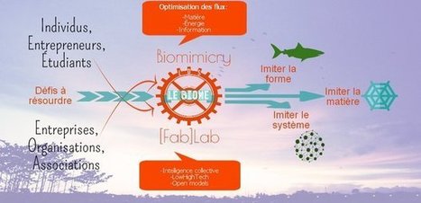 Le Biome : 1er biomimétisme FabLab | Imagination For People | FabLab | Scoop.it