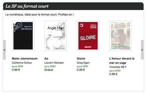 Les litt&eacute;ratures de l&rsquo;imaginaire &agrave; l&rsquo;honneur sur ePagine | Blog.ePagine | UseNum - Culture | Scoop.it