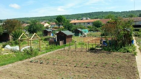 Malzéville : le plaisir partagé des jardins ouvriers | veille territoriale | Scoop.it