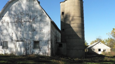 Depuis 1968, le Wisconsin a perdu 64 000 fermes laitières | Lait de Normandie... et d'ailleurs | Scoop.it