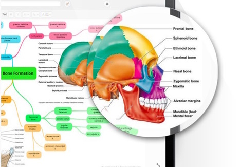 25 Best Mind Mapping Tools To Organize Your Ideas - RankRed | Cartes mentales | Scoop.it