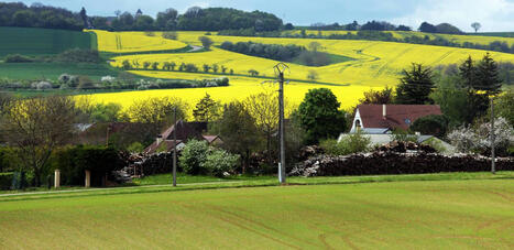 NGT: Comprendre l'édition du génome | ALIMENTATIONS | Scoop.it