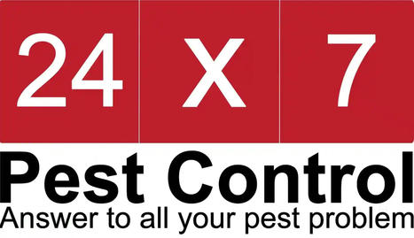 Pest Control Gurgaon,Pest Control Company in Gurugram|24x7Pest Control Gurgaon | Pest Control Services | Scoop.it